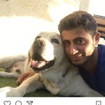 Profile Picture of Shahaf Simon (@shahafsimon) on Instagram