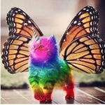 Profile Picture of eric barton (@bartoneric587f) on Instagram