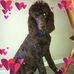 Profile Picture of Pam Stricklin (@pam.stricklin.5) on Facebook