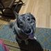 Profile Picture of David Bainter (@david.bainter.94) on Facebook
