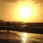 Profile Picture of Evan McGoff (@somonotony) on Instagram