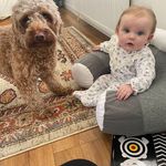 Profile Picture of Michael Eustace (@michael.eustace.90) on Instagram