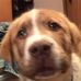 Profile Picture of Blu Ferguison (@reba.ferguison) on Facebook