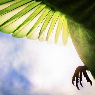 Profile Picture of Samborski Eryk (@samborski1) on Facebook