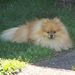 Profile Picture of Wanda Lackey (@lackey28602) on Pinterest