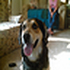 Profile Picture of Beth Childress (@b&dchildress) on Flickr