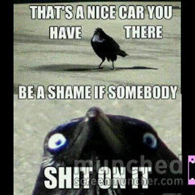 Joel Bowden - Twitter Profile Picture of Joel Bowden (@bowden_joel) on Twitter