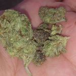 Profile Picture of Michael Saechao (@saechao.michael) on Instagram