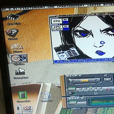 Profile Picture of Mark Sealey (@MarkSealey13) on Twitter