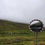 Profile Picture of Leo Walsh (@leo_the4th) on Instagram