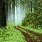 Profile Picture of Chip Bradshaw (@chip.bradshaw.52) on Facebook