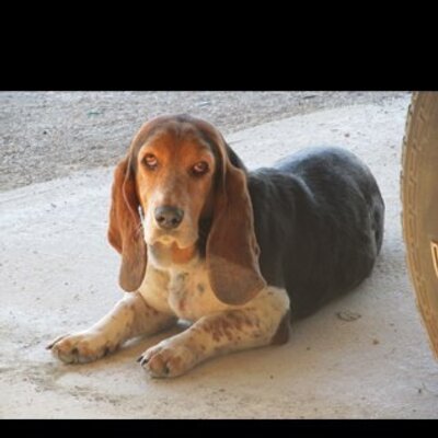 Profile Picture of Matt Theriot (@Electricchiken) on Twitter