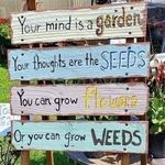 Profile Picture of Dena Rowe (@denarowe01) on Instagram