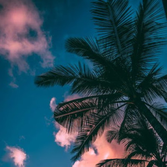 Profile Picture of Kevin Ramirez (@kevinram18) on Poshmark