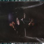 Profile Picture of Peter Collins (@peterdcollins) on Instagram