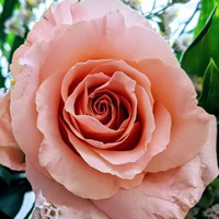 Profile Picture of Katherine Mize (@katherine-mize-7) on Quora