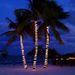 Profile Picture of Dawn Dyer (@dawndyer) on Pinterest
