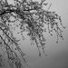 Profile Picture of Vicky Dannau (@vdannau) on Pinterest