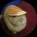 Profile Picture of Blaskovitz_16 ٌ (@Blaskovitz_16) on Pinterest