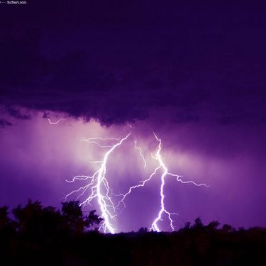 Profile Picture of Tom Barratt (@TomizOwned) on Twitter