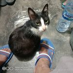 Profile Picture of Athony Damanik (@anthonydamanik5) on Instagram