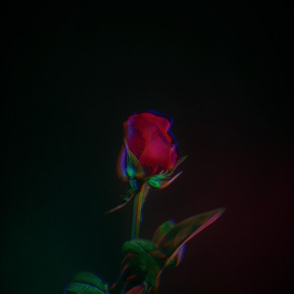 Danica Ferguson - Poshmark Profile Picture of Danica Ferguson (@fergusondanica9) on Poshmark