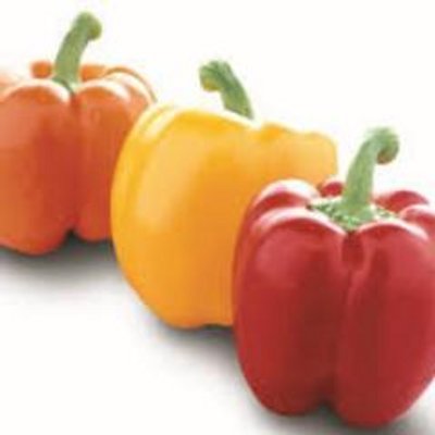 Profile Picture of Nasser J. Halim (@nasserjhalim) on Twitter