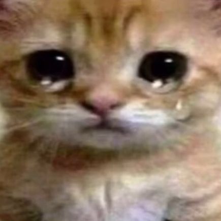 Pp - Tiktok Profile Picture of Pp (@ratowe) on Tiktok