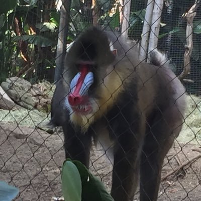 Profile Picture of Jim Limberg (@JimLimberg) on Twitter