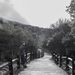 Profile Picture of Inpyo Hong (@hipkorean) on Pinterest