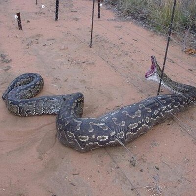 Profile Picture of Kevin Pons (@kevinpons) on Twitter