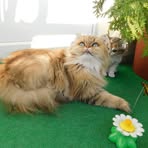 Profile Picture of Nancy Schweizer (@nancy.schweizer.75) on Facebook