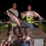 Profile Picture of James Kalkbrenner (@james.kalkbrenner) on Instagram