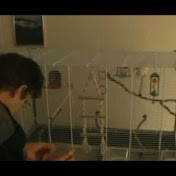 Michael Bonde - Youtube Profile Picture of Michael Bonde (@bajere10) on Youtube