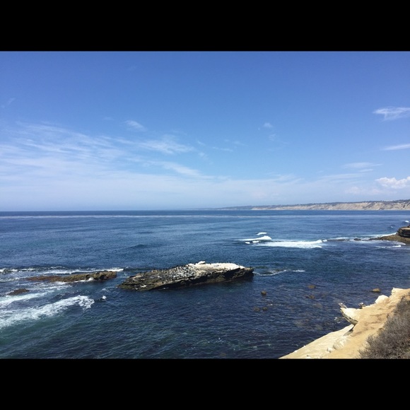 Profile Picture of Catherine Jacobsen (@kitkat113) on Poshmark