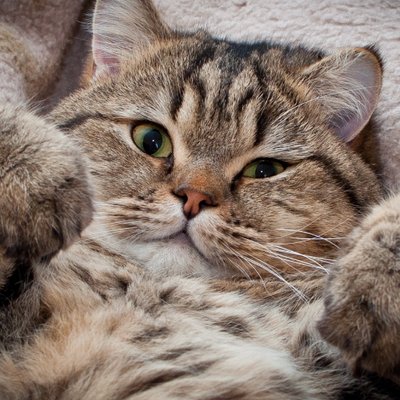 Profile Picture of Marilyn Daniela (@marilynda123) on Twitter