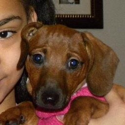 Profile Picture of Latasha James (@LatashaJames4) on Twitter