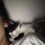 Profile Picture of Jessica Cerutti (@jessetto.priv) on Instagram