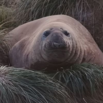Profile Picture of Mark Witherall (@MarkWitherall) on Twitter