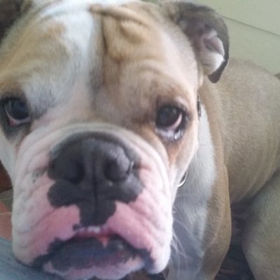 Profile Picture of Philip Tripp (@cannuck1) on Twitter