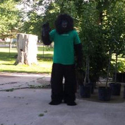 Profile Picture of Jeffrey Winslow (@dro2treesales) on Twitter