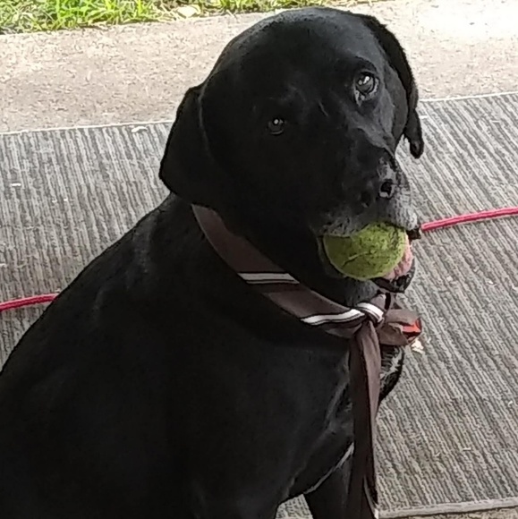 Karen Semchenko - Poshmark Profile Picture of Karen Semchenko (@allot4sale) on Poshmark