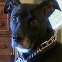 Profile Picture of Loretta Sharp (@loretta-sharp-5) on Quora