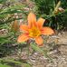 Profile Picture of Cindy Pryor (@cindy.pryor.54) on Facebook