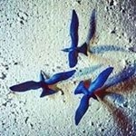 cath Raymond - Instagram Profile Picture of cath Raymond (@raymond.catherine00) on Instagram