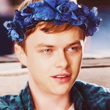 Profile Picture of Jesse D'Amato (@TheJesseDAmato) on Twitter