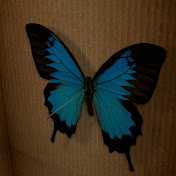 Profile Picture of Forrestharless (@forrestharless) on Youtube