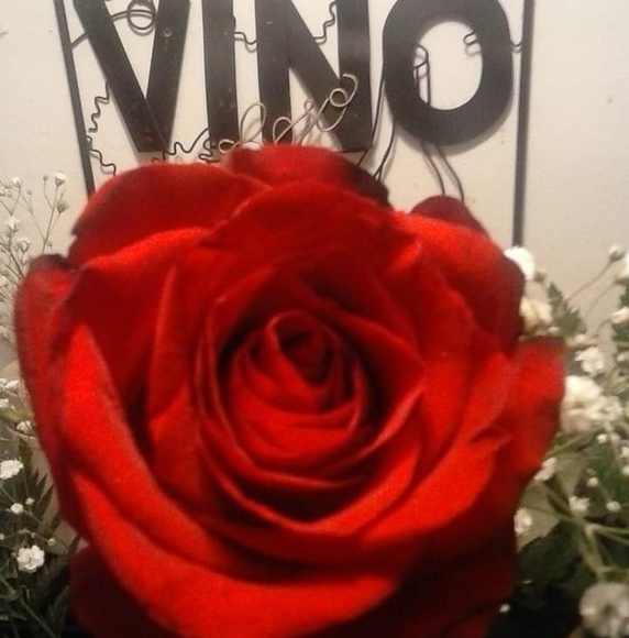 Profile Picture of Mary Lamottam (@victorianlady50) on Poshmark