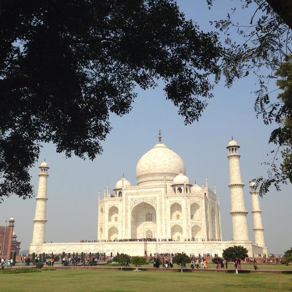 Profile Picture of Sandy Chough (@sandychough) on Poshmark