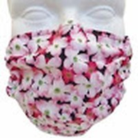 Profile Picture of Daniela Escobar (@daniela-escobar-72) on Quora